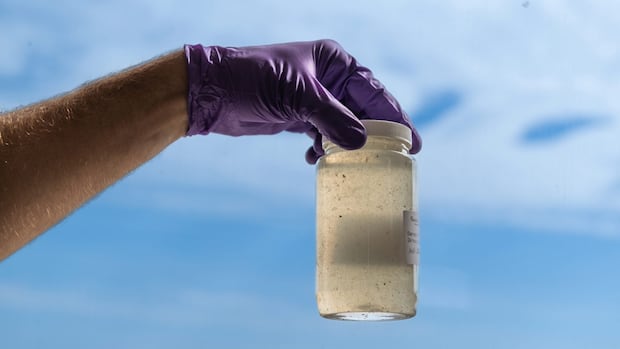 How Canada could boost disease surveillance to make up for U.S. health cuts