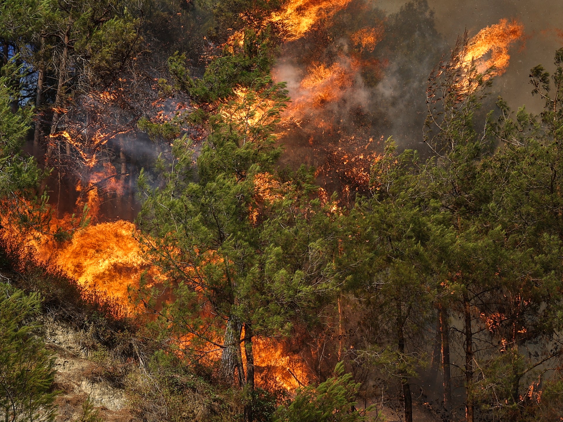Emergency workers battle wildfires in Syria