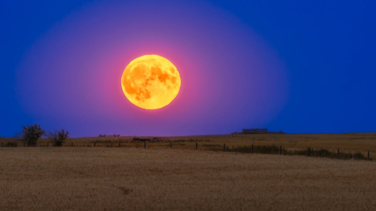 Buck Moon 2025: How to spot the year’s farthest full moon from the sun