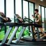 Why the L-carnitine sport supplement is controversial