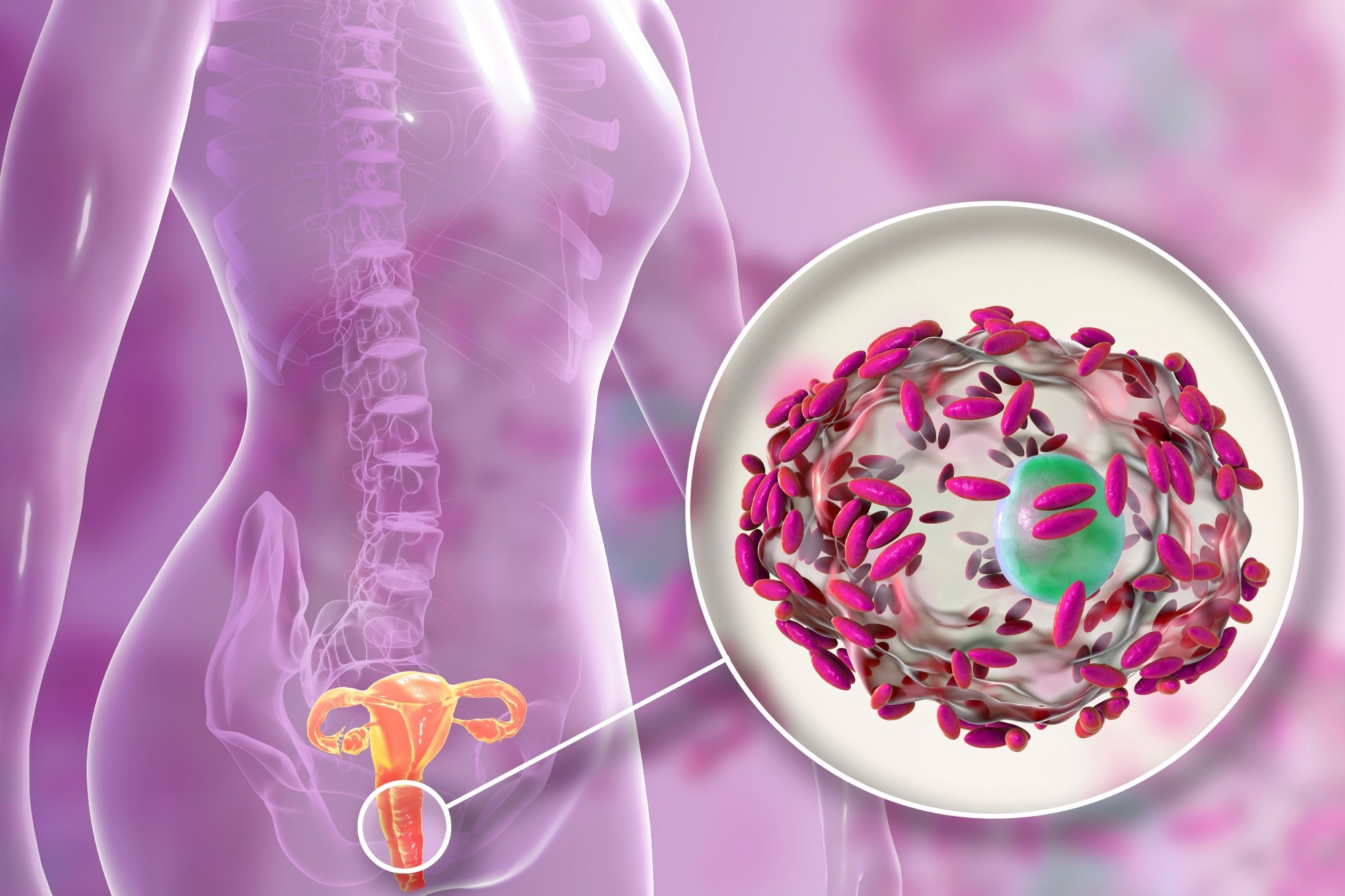 Eating habits directly influence vaginal microbiome, research finds