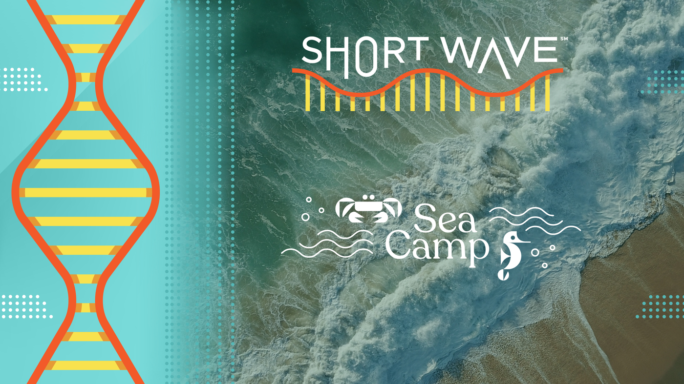 The ocean’s currents are shifting. Why?
