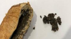 Pictures of beef Wellington used in mushroom murders released by court