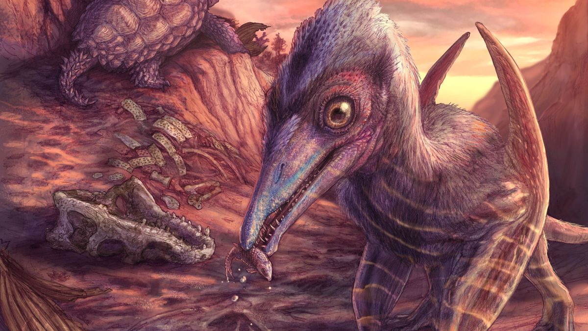 ‘Ash-winged dawn goddess’ is oldest pterosaur ever discovered in North America — and it was small enough to sit ‘on your shoulder’