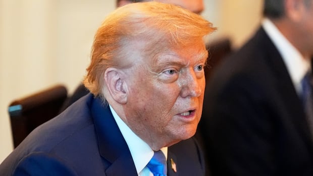 Trump says U.S. will ‘have to’ send Ukraine more weapons so it can defend itself