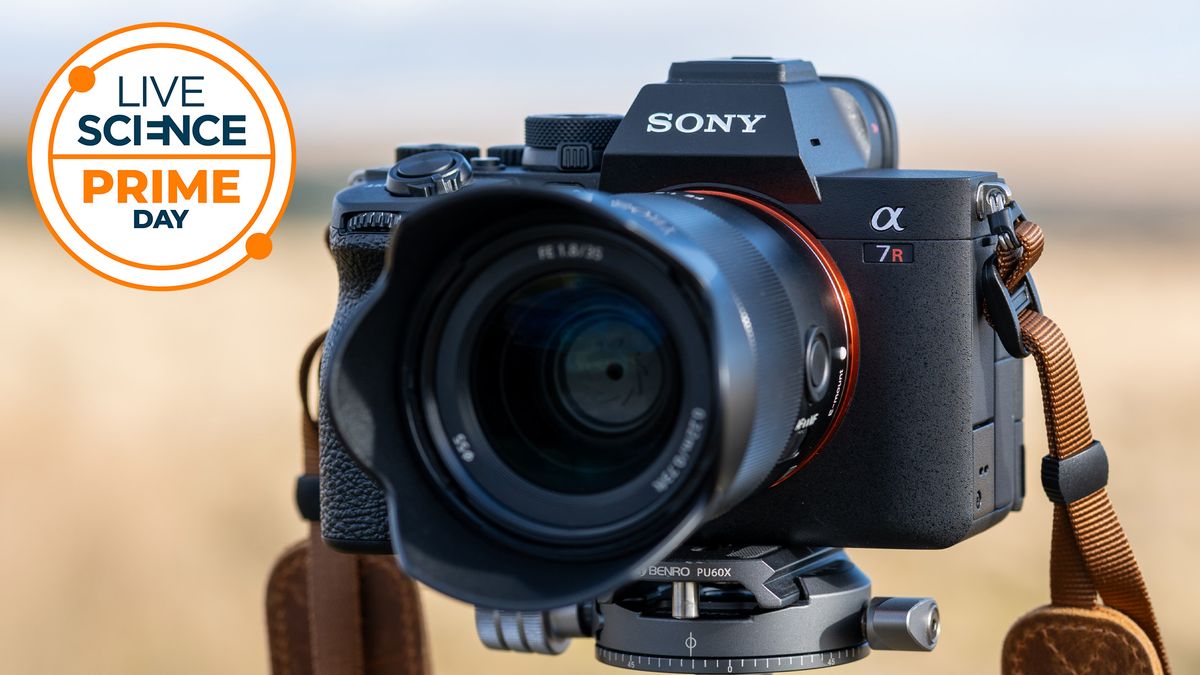 Which cameras are actually a good deal this Prime Day?