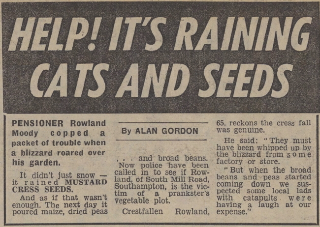 Raining Cress Seeds