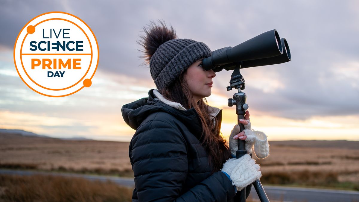 We love these beginner astronomy binoculars — now $79 for Prime Day