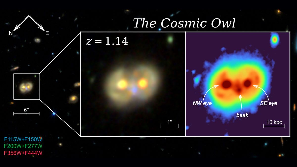 Whooo’s there? James Webb telescope spots ‘Cosmic Owl,’ super-rare structure formed from colliding ring galaxies