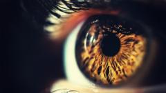 Can (and should) we cure blindness?