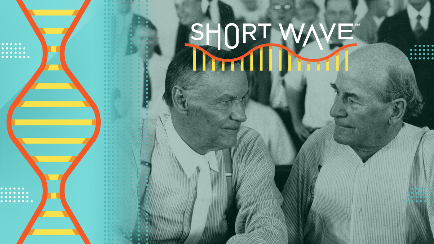 Evolution went on trial 100 years ago. Where are we now?