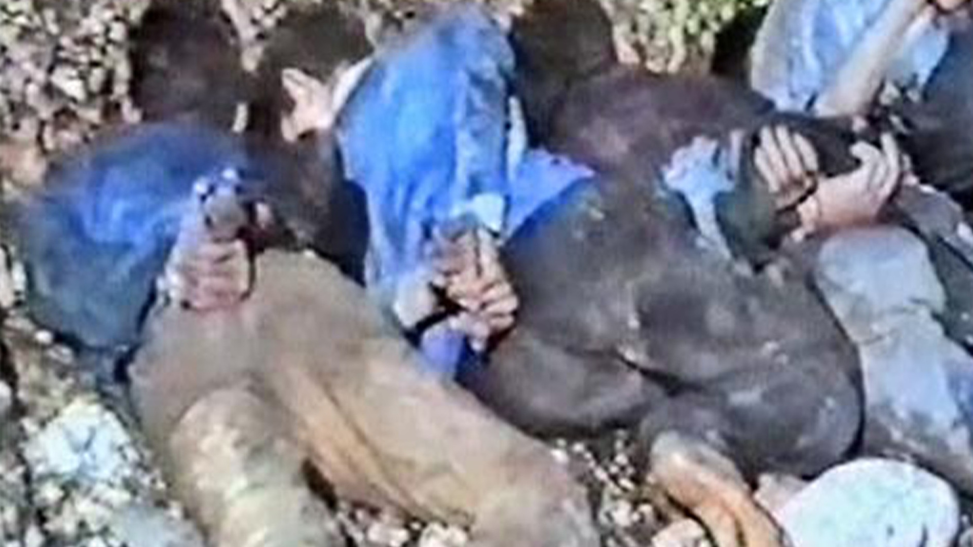 What happened in the Srebrenica genocide?