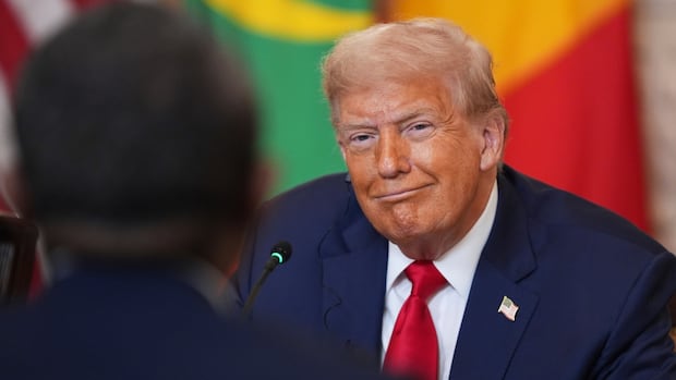 Trump’s praise of Liberian leader’s ‘good English’ prompts eye rolls and frustration