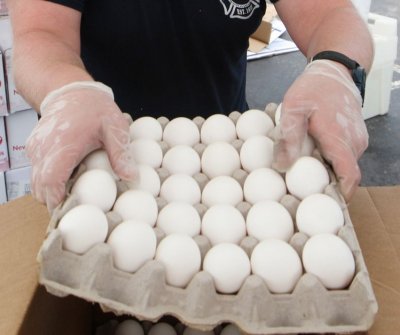 FDA ends recall of salmonella-contaminated brown eggs