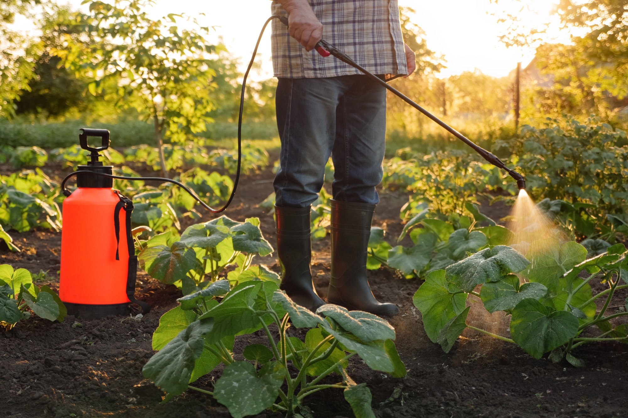 Insecticide exposure could impair mental function in older adults