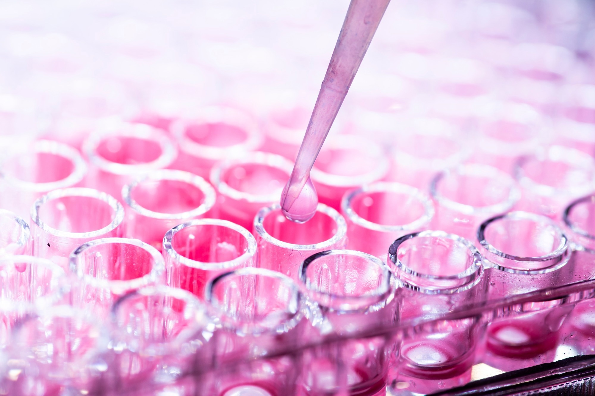 Hydrogels could be key to safer, smarter cancer drug delivery