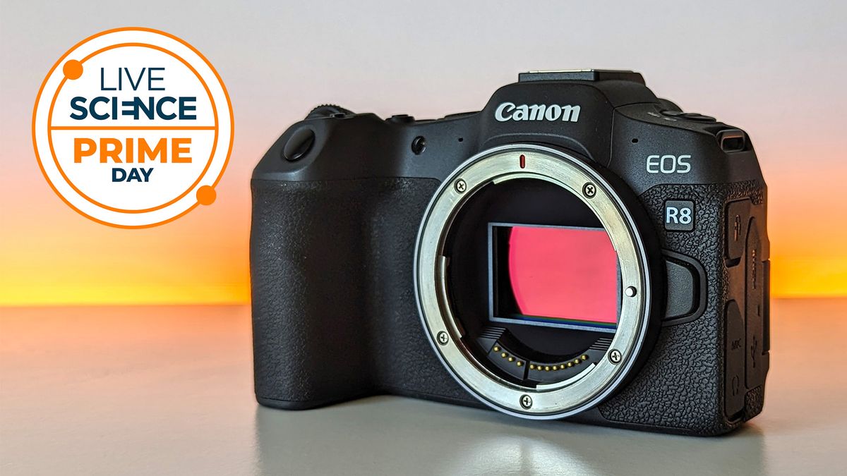 Last chance! The Canon EOS R8 is still cheapest at Walmart — just in time for the Perseids and late summer wildlife