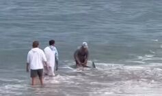 Man wrestles shark on beach in front of horrified families – before it bites his leg