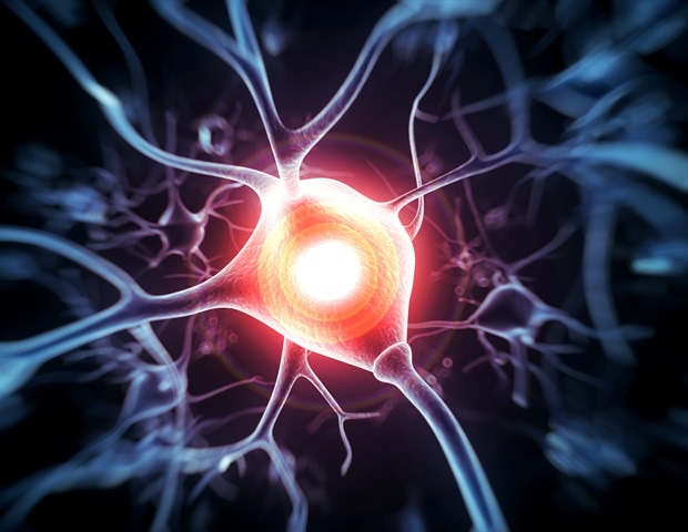 Researchers create over 400 types of nerve cells from stem cells