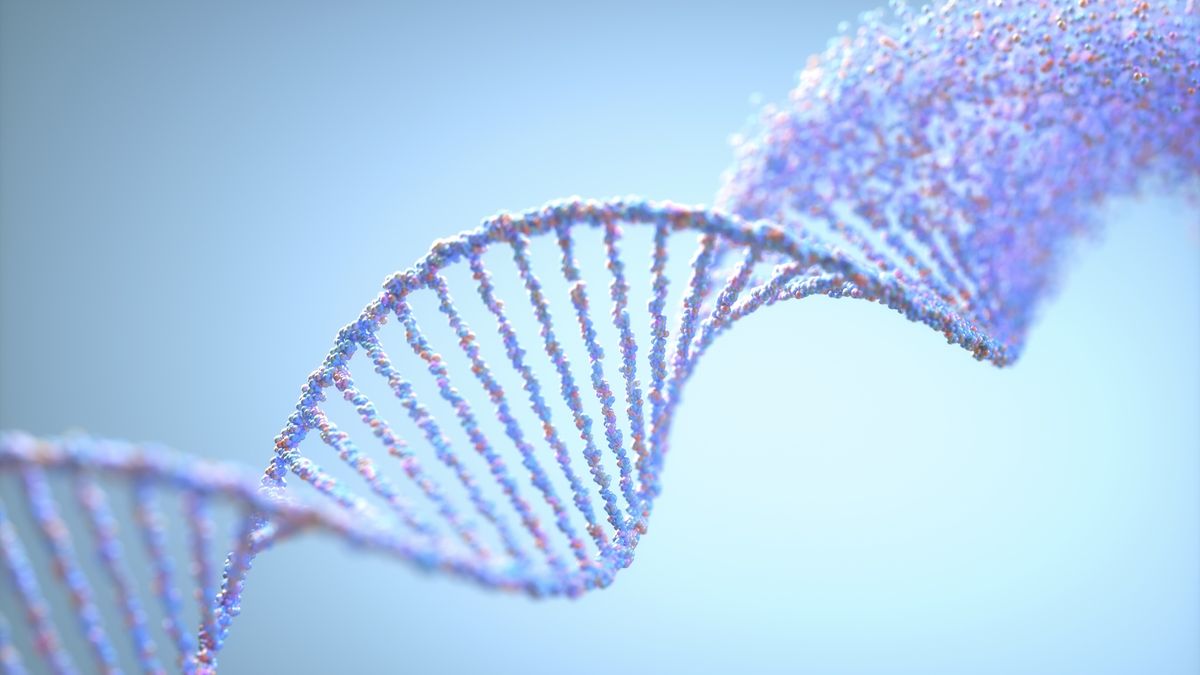 ‘Epigenetic memory’ may help explain why PCOS tends to run in families