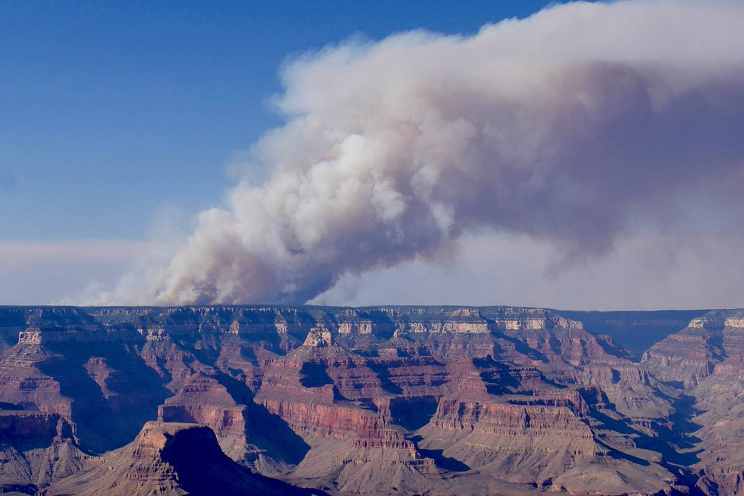 Wildfire near Grand Canyon expands tenfold over 24 hours