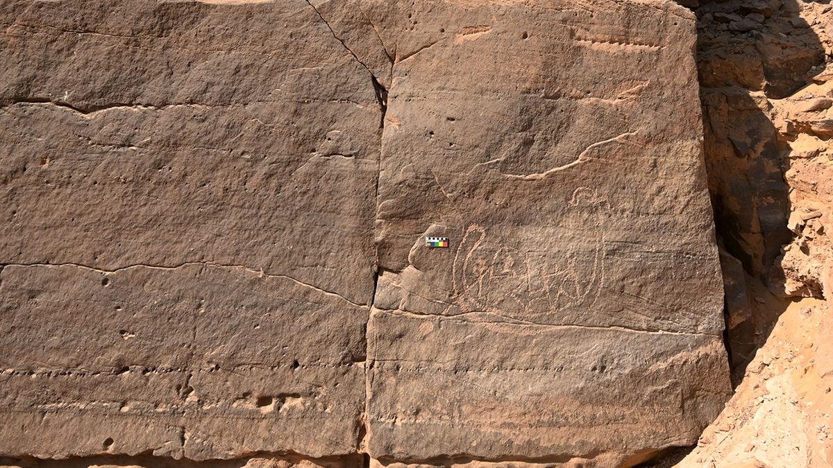 Ancient Egyptian rock art discovered near Aswan may be from the dawn of the first dynasty