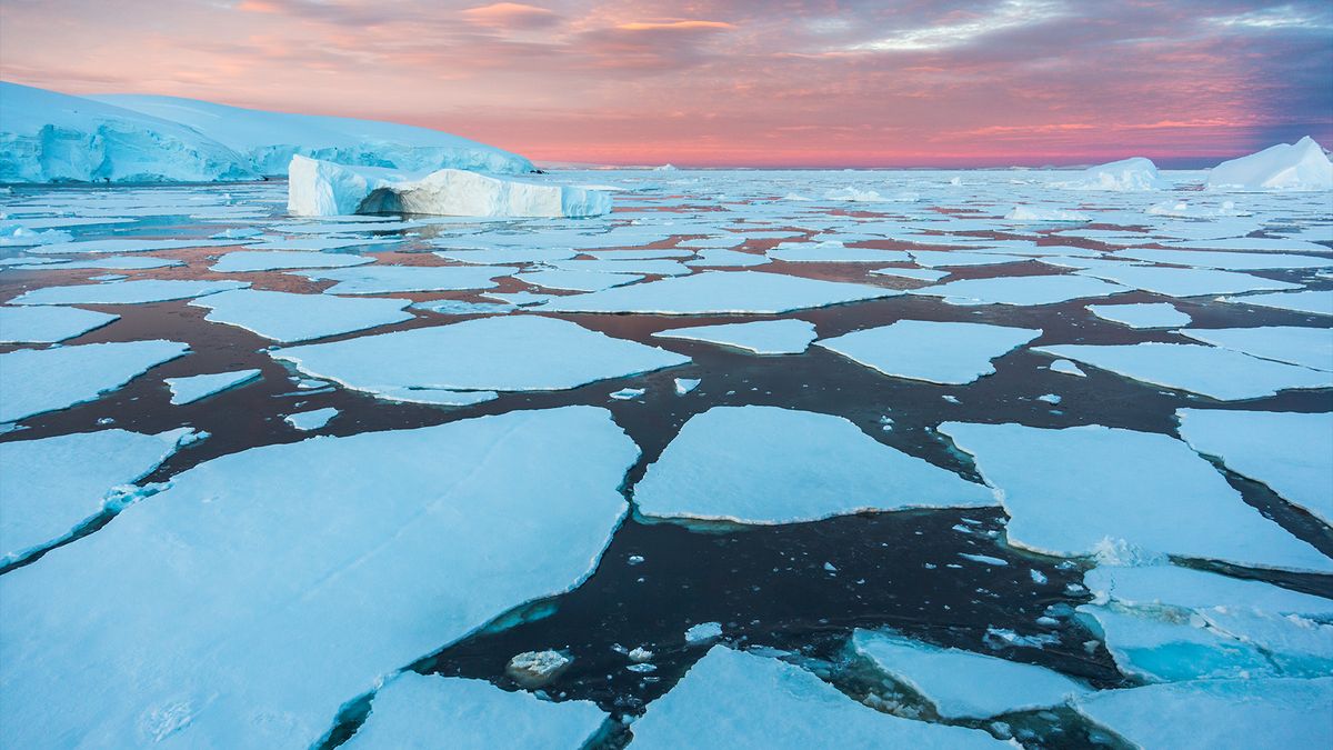 Antarctic sea ice collapse linked to a mysterious spike in ocean salt