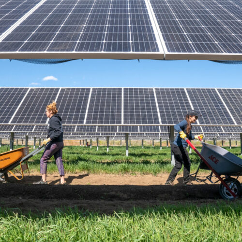 In the Southwest, solar panels can help both photovoltaics and crops