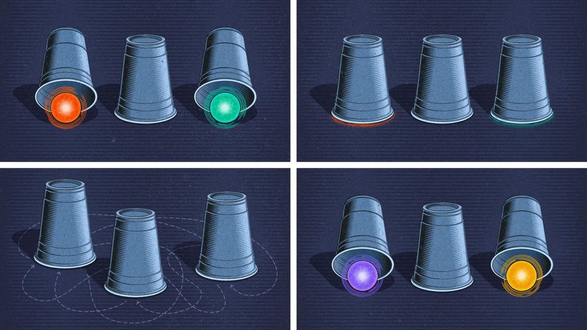 ‘Paraparticles’ would be a third kingdom of quantum particle
