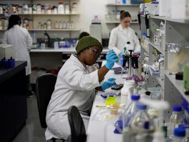 US aid cuts halt HIV vaccine research in South Africa, with global impact