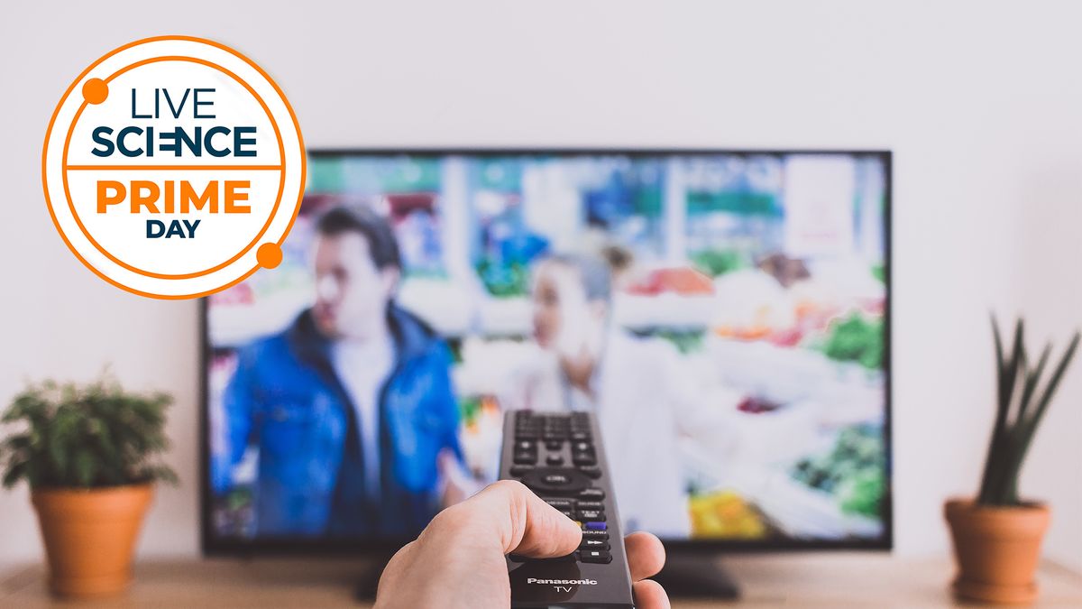 Last chance to grab a Prime Day streaming deal — get up to 90% off and enjoy all your favorite sci-fi and wildlife shows for a fraction of the cost