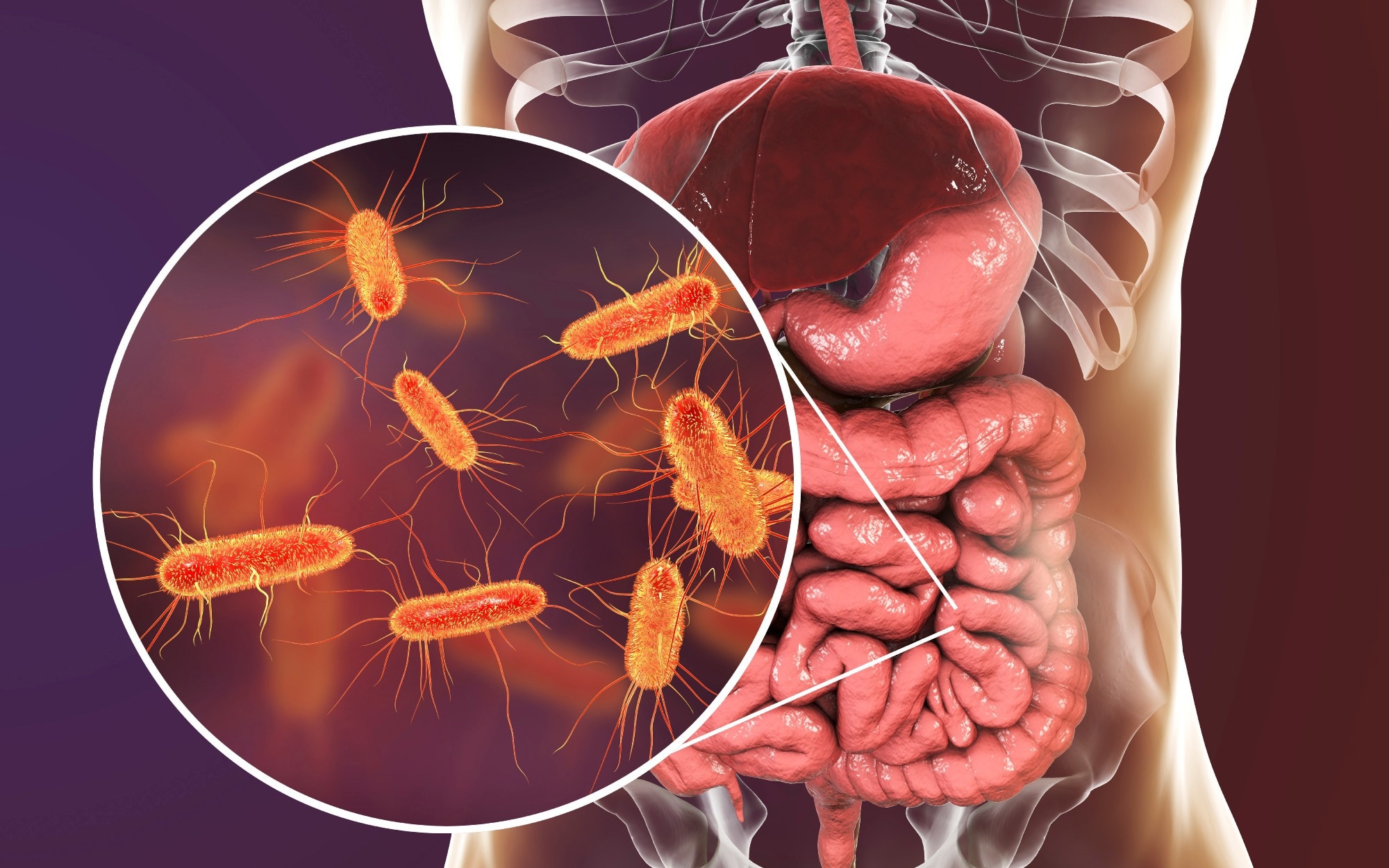 Dynamic mapping exposes hidden dynamics of gut microbiome