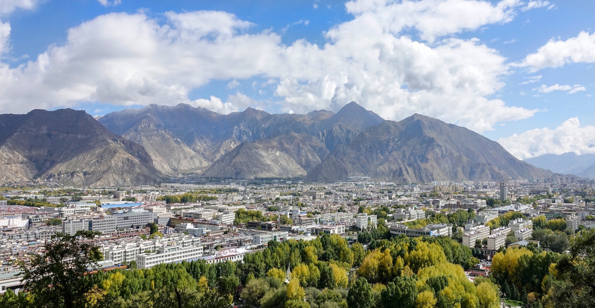 How five months in Tibet changed the heart and lungs of Beijing workers