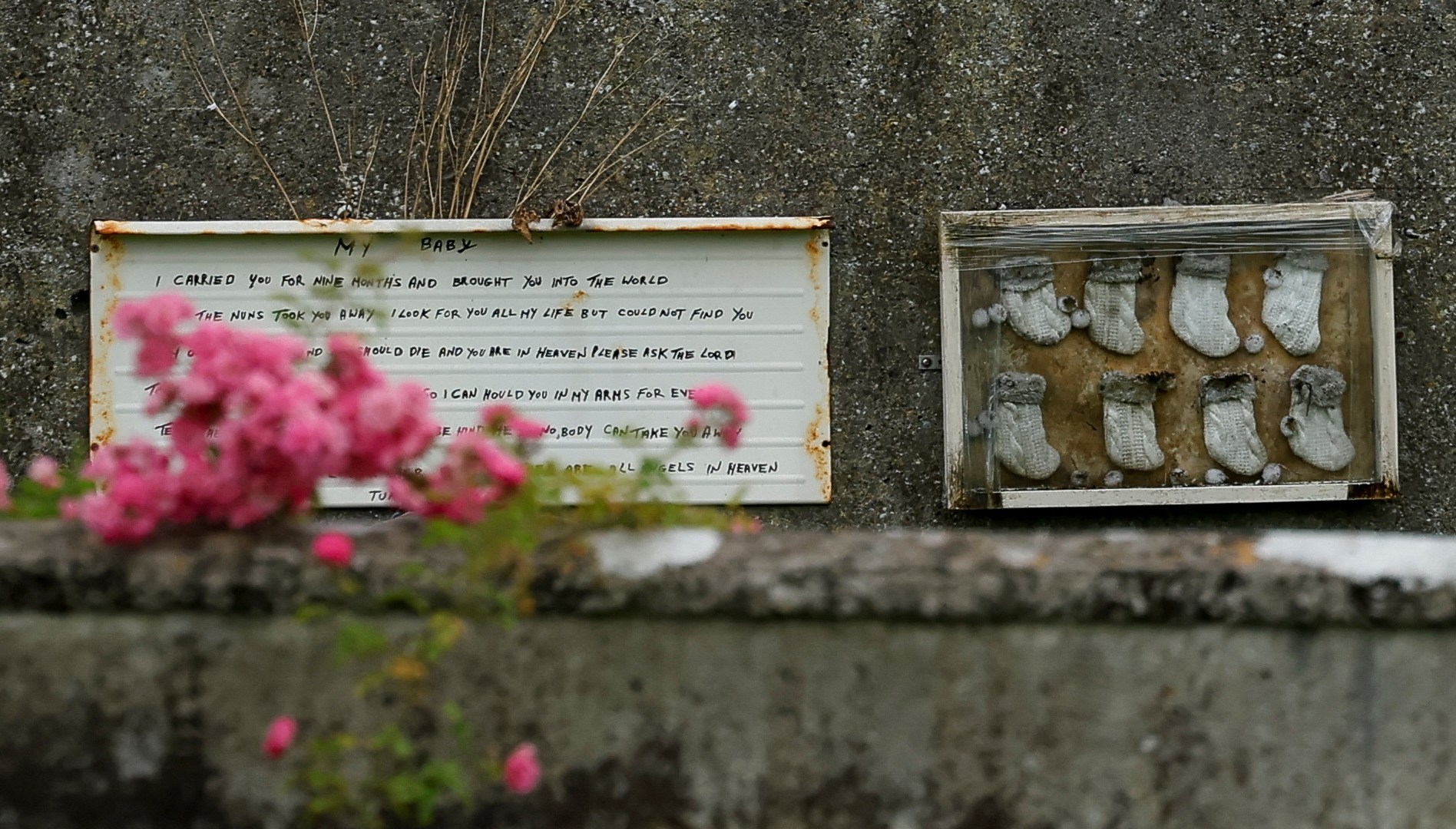Excavation of child mass grave at church-run home begins in Ireland