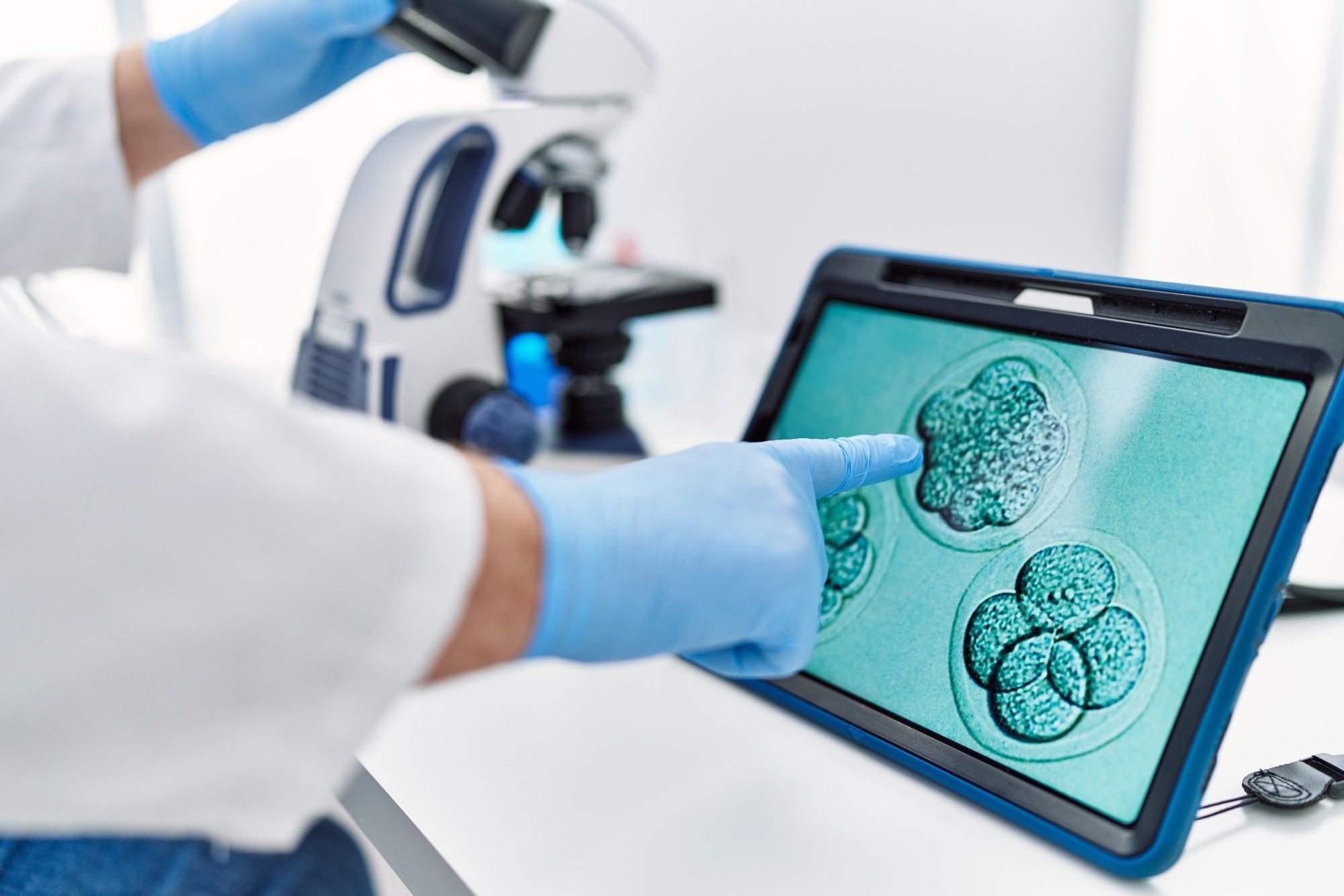 FEMI helps predict IVF outcomes with greater accuracy