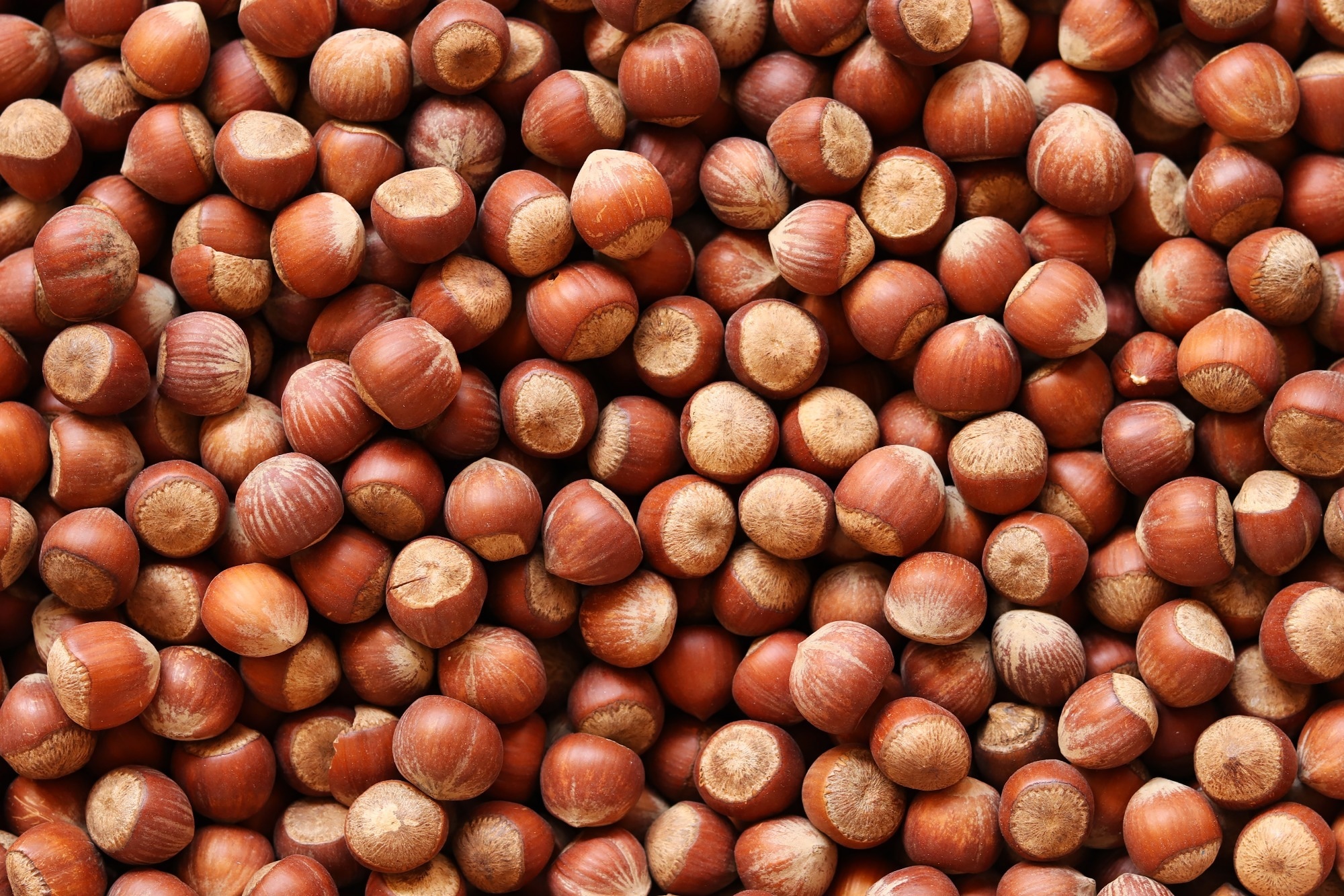 Adding nut extract helps keep pork burgers healthier and safer