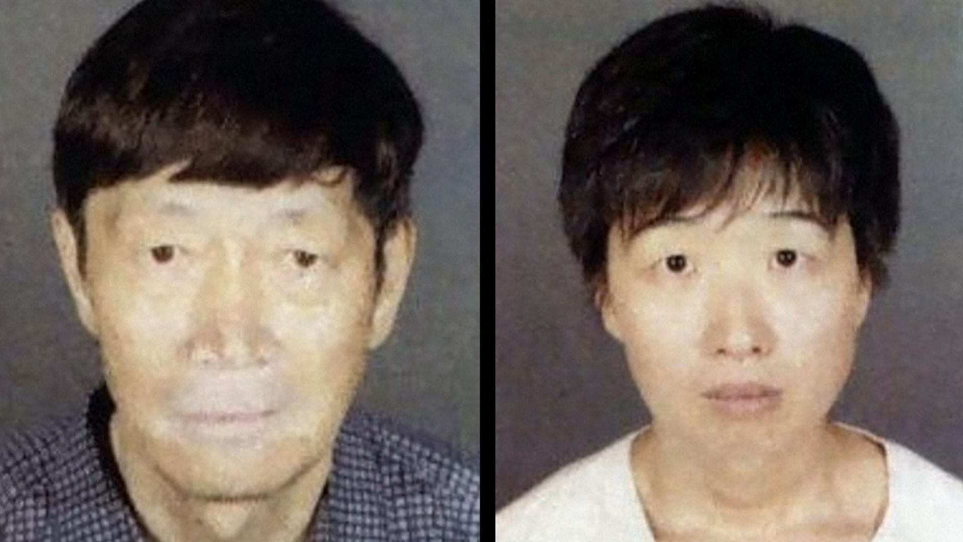 21 children taken into custody – amid claims couple misled surrogate mothers across the US