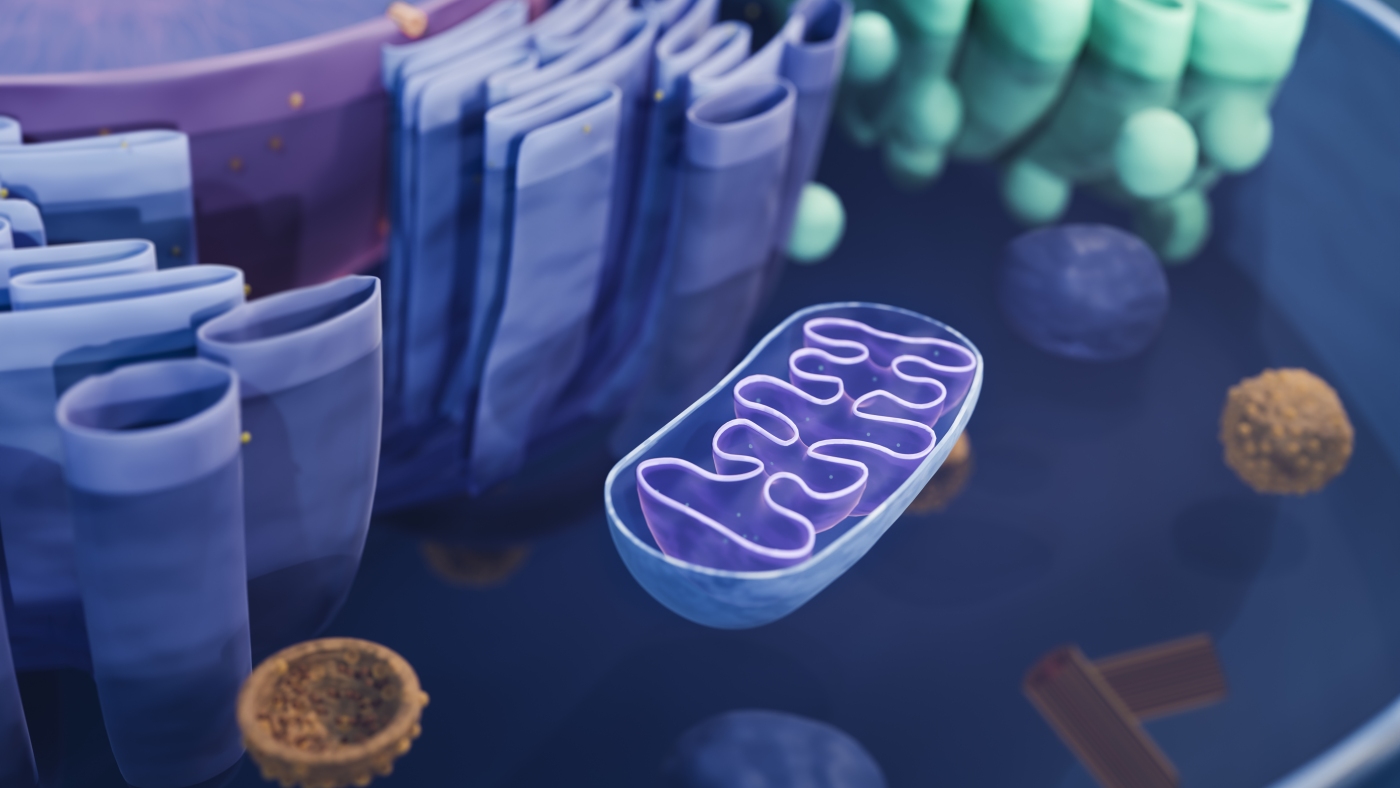 How a third parent’s DNA can prevent an inherited disease