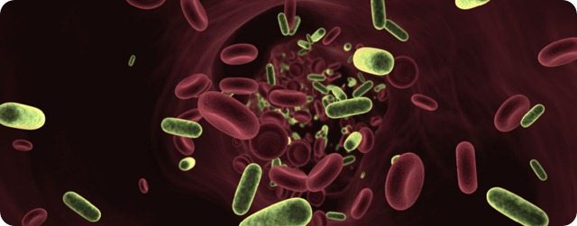 Your terrain, your fault? Germ Theory Denial 2025