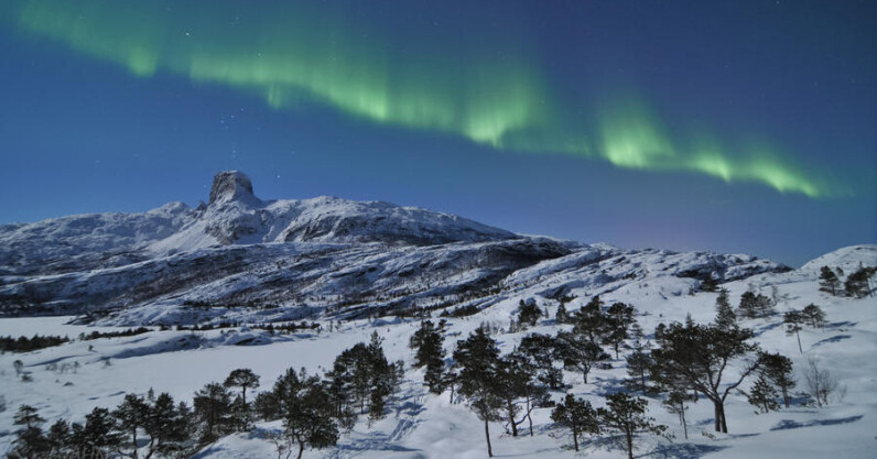 Norwegian investment firm joins AI gold rush to the frozen north