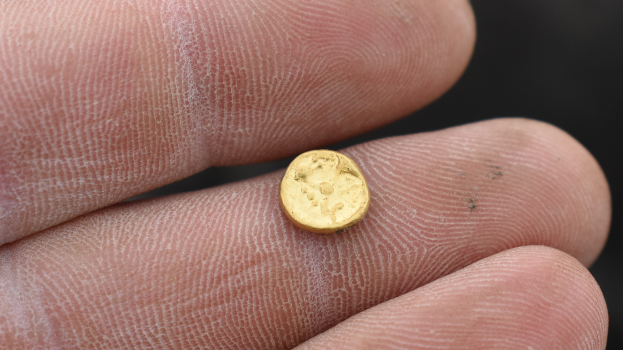 2,200-year-old Celtic settlement discovered in Czech Republic — and it’s awash in gold and silver coins