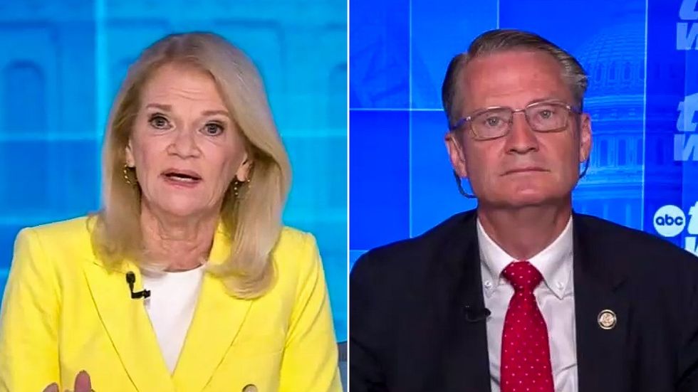 ‘You are obviously one of those people’: ABC host confronts ‘stupid Republican’