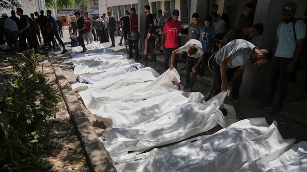 At least 73 Palestinians killed trying to access humanitarian aid, says Gaza Health Ministry
