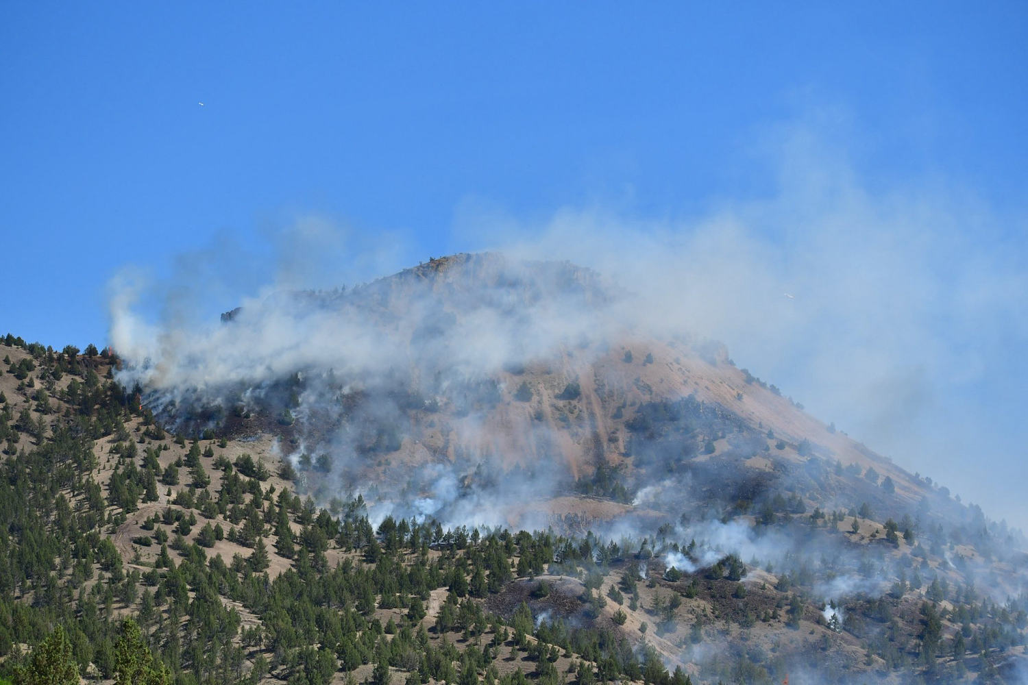Oregon wildfire burning over 95K acres could reach rare megafire status