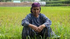 Kashmir’s growing heat crisis hits health and harvests