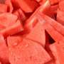 Single-food ‘mono diets’: Are they effective, pointless, or just plain dangerous?