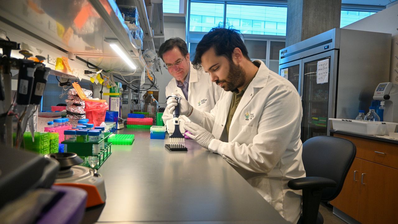 ‘PAC-MANN’ blood test aims to detect pancreatic cancer early