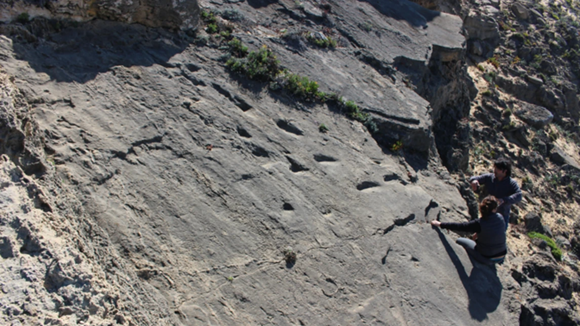 78,000-year-old footprints from Neanderthal man, child and toddler discovered on beach in Portugal