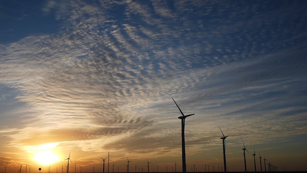 Green energy has passed ‘positive tipping point,’ and cost will come down, UN says
