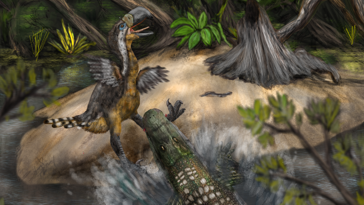 Bite marks reveal giant terror birds were potentially prey for another apex predator — humongous caiman